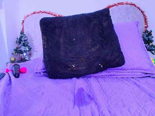 shels-loreds shels-loreds