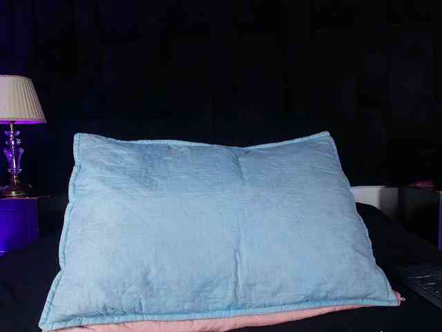 shels-loreds webcam