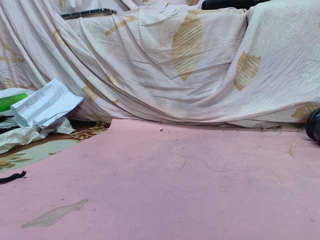 Candysexy001's BongaCams show and profile