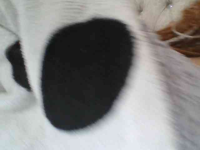 Blackmelanin1 webcam