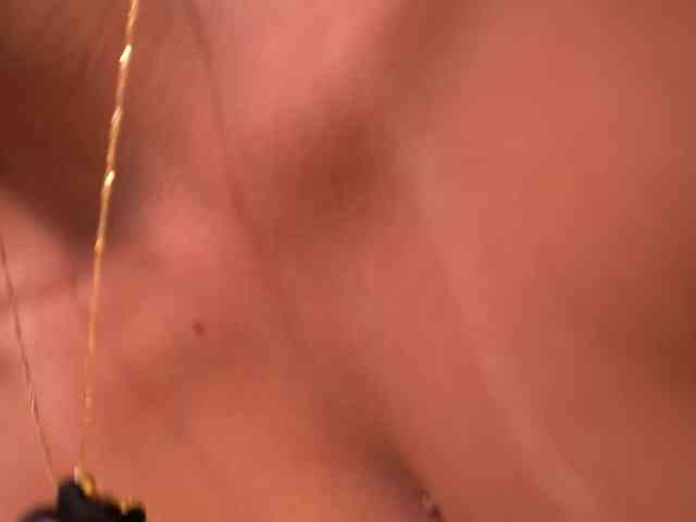 ElleDiane webcam