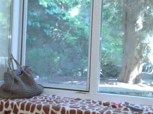 eva-golden webcam