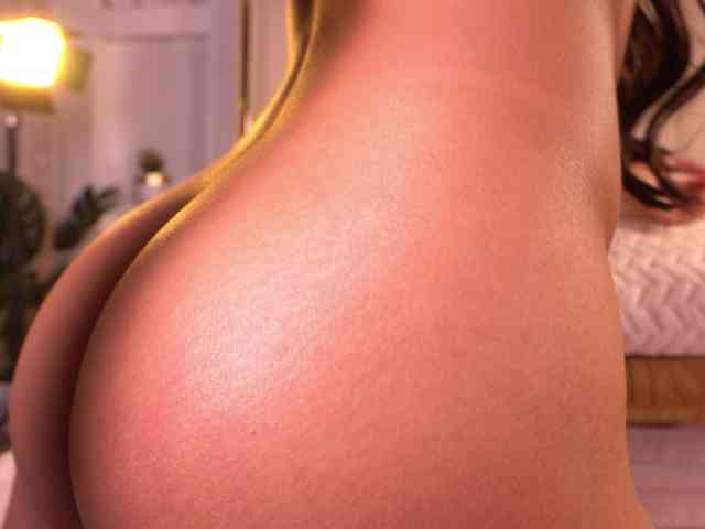 Saryhott webcam