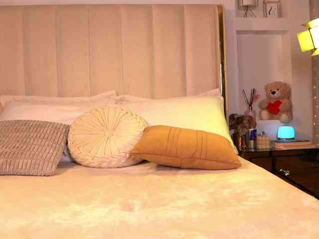 Saryhott webcam