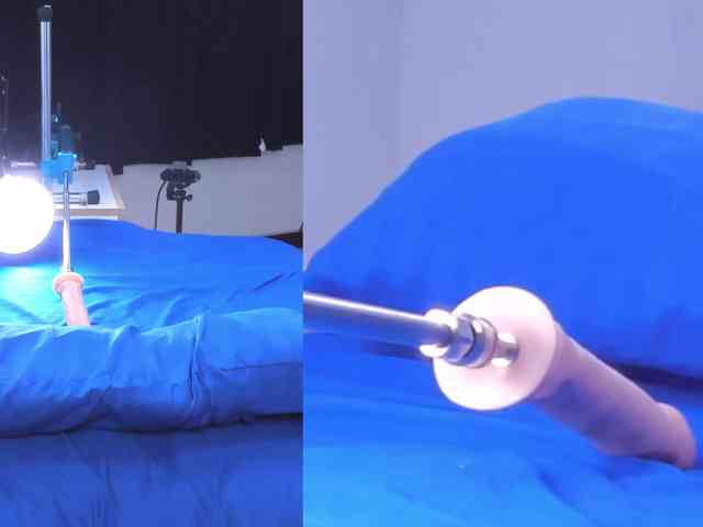 Collin-Bella Collin-Bella