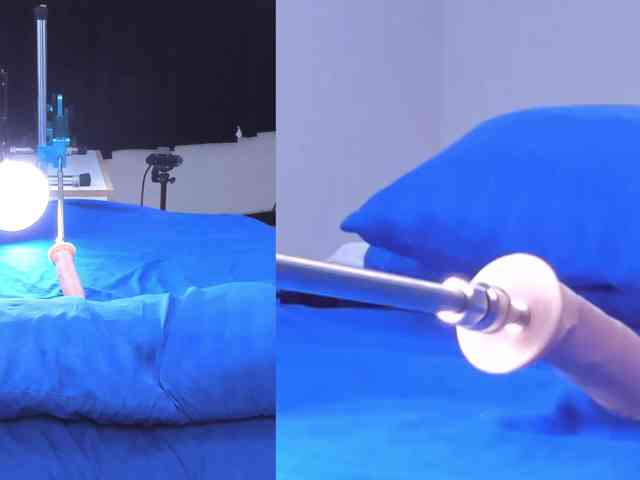 Collin-Bella Collin-Bella