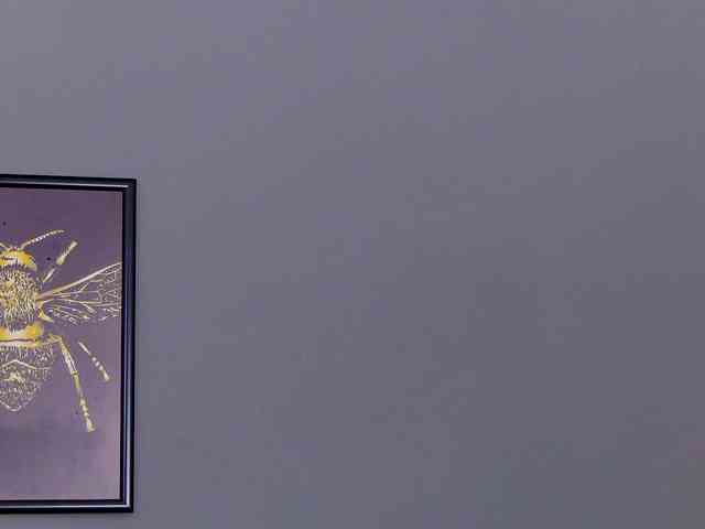 KateWalker webcam
