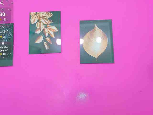 Kinky-Madisson webcam