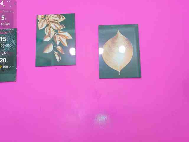 Kinky-Madisson webcam