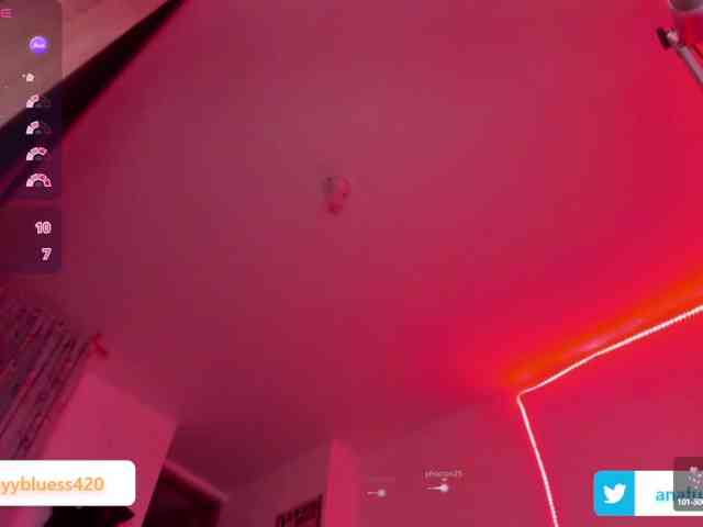 kitty-scream webcam