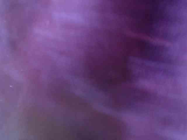 SaraThonson webcam