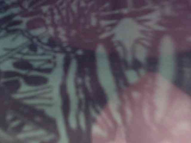 SaraThonson webcam
