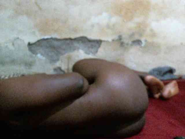 Sweet-Trizer Sweet-Trizer