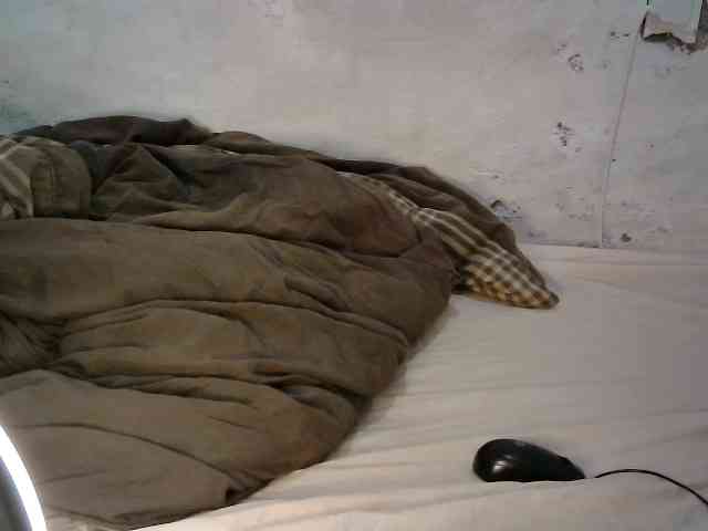 Sweet-Trizer Sweet-Trizer