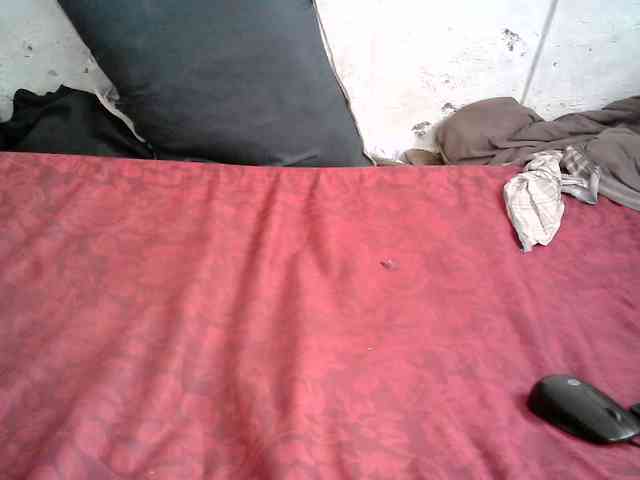 Sweet-Trizer webcam