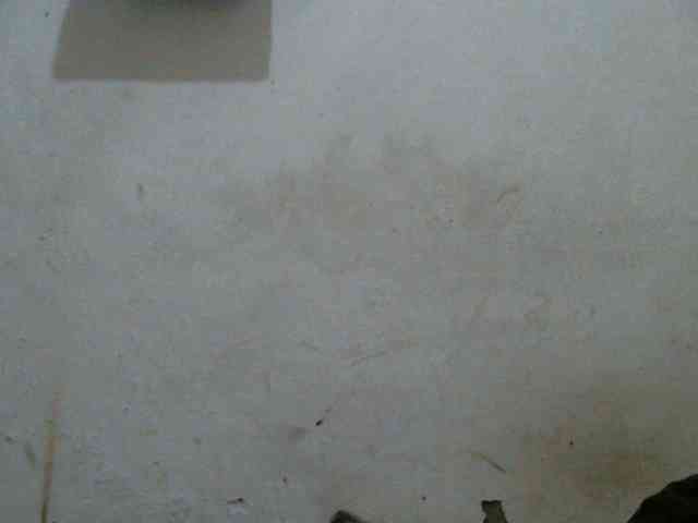 Sweet-Trizer webcam