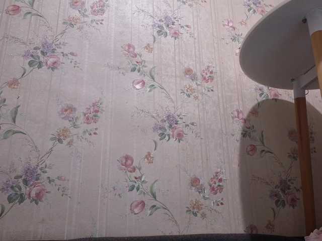 LissaLush Live Cam on BongaCams