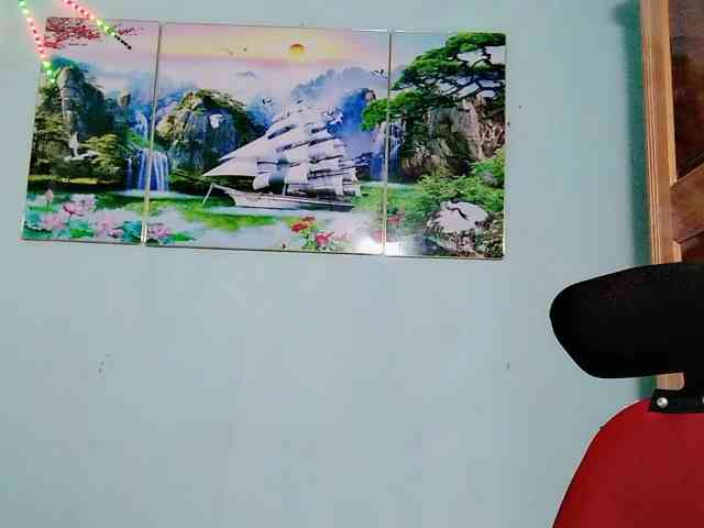 Linhanhsex2k webcam