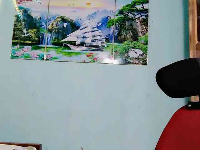 Linhanhsex2k webcam