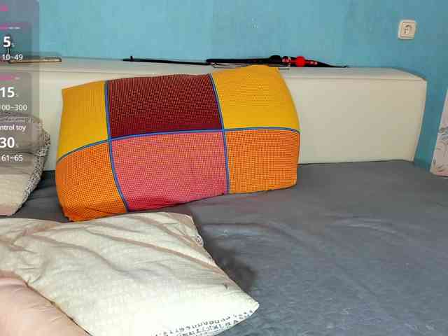 NiFertari webcam