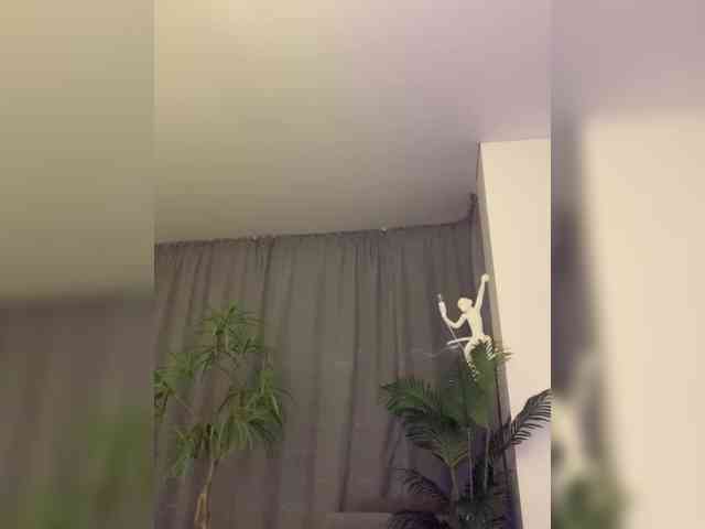 Stasya-moor webcam