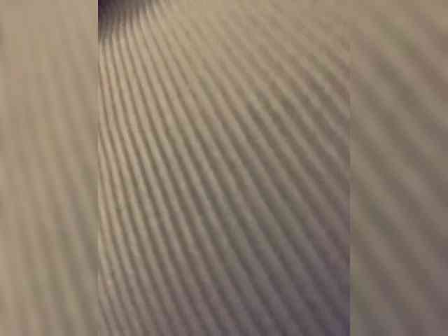 Stasya-moor Stasya-moor