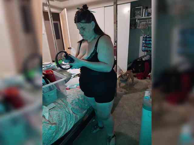 HungryHeifer webcam