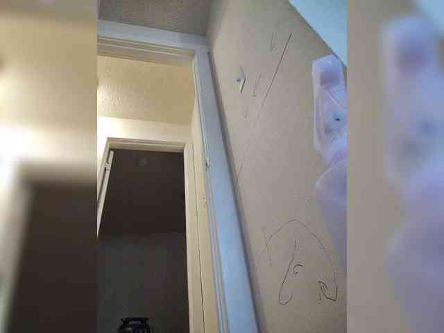 HungryHeifer webcam