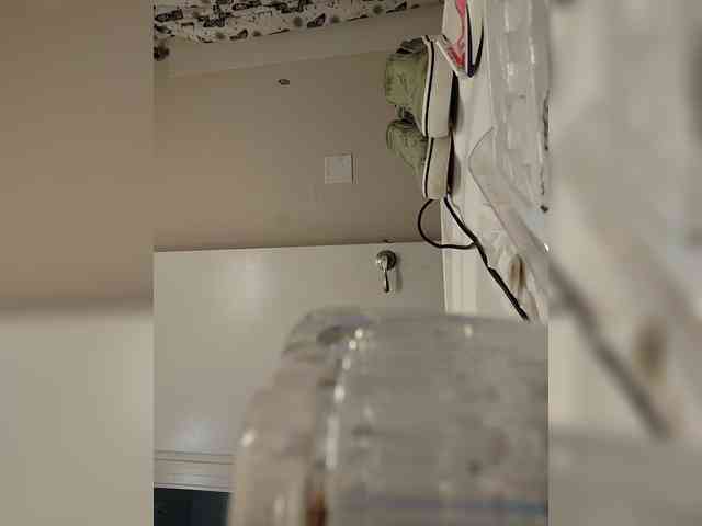 HungryHeifer webcam