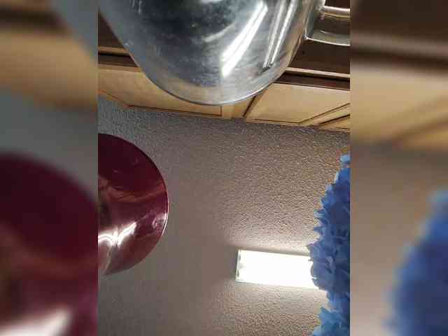 HungryHeifer webcam