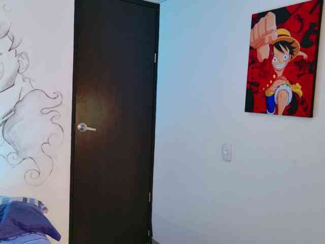 arieyaraa webcam