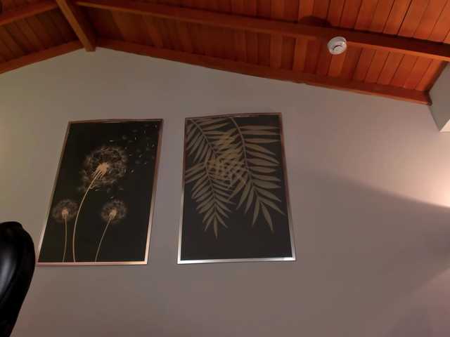 ValeriaRivera1's BongaCams show and profile