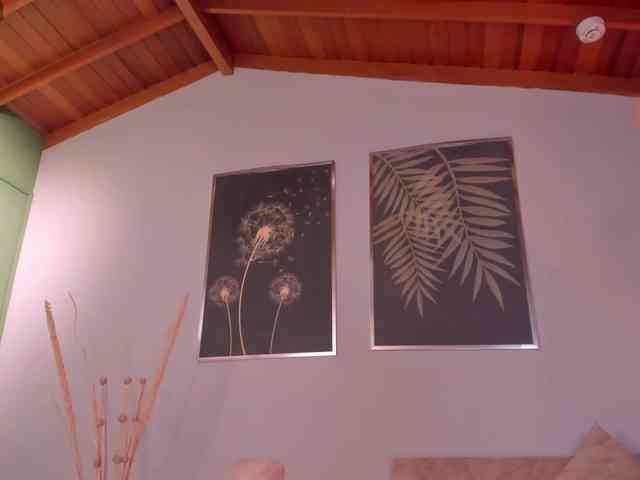 ValeriaRivera1 webcam