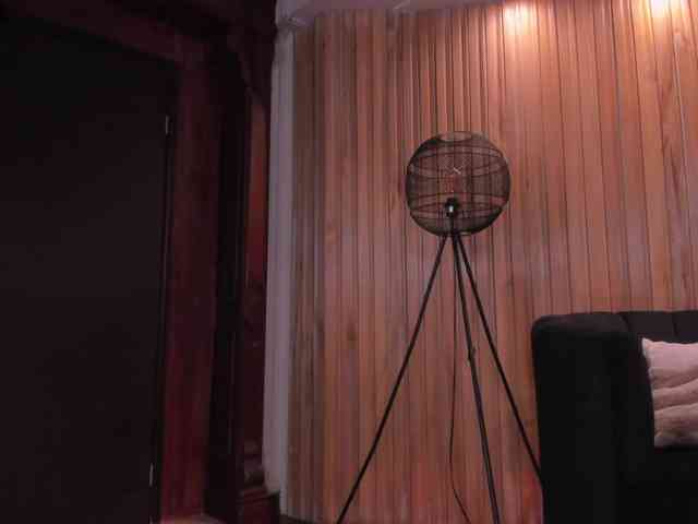 ValeriaRivera1 webcam