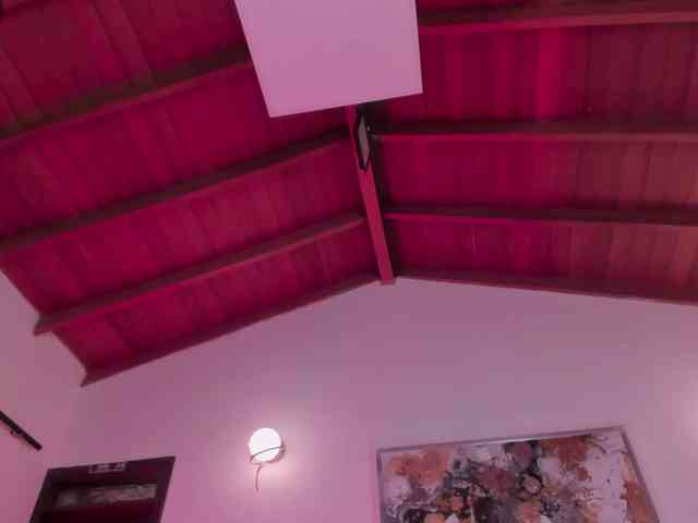 ValeriaRivera1 webcam