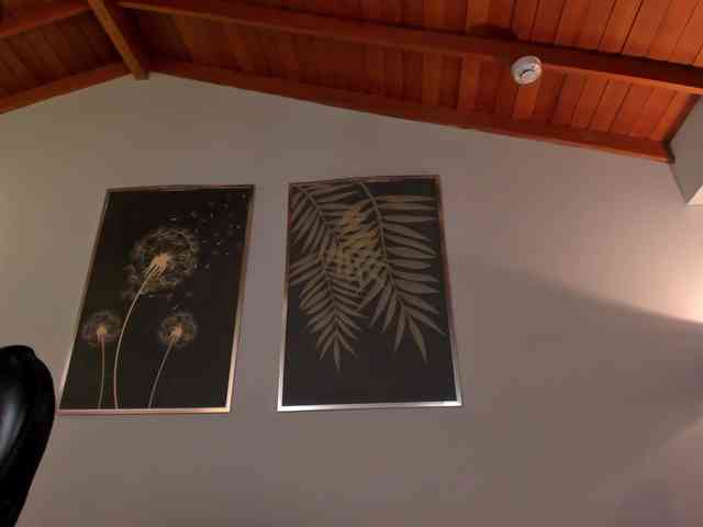 ValeriaRivera1 webcam