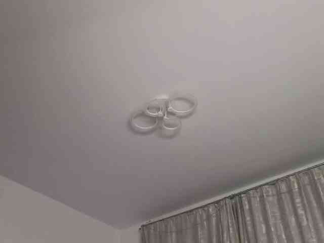 Eva--queen Eva--queen