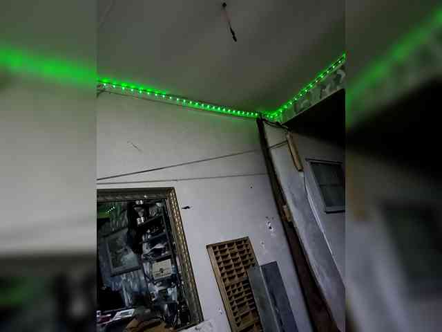 chainsawcatfish chainsawcatfish