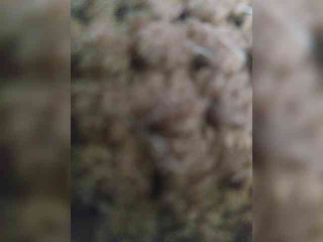 sisi53 webcam