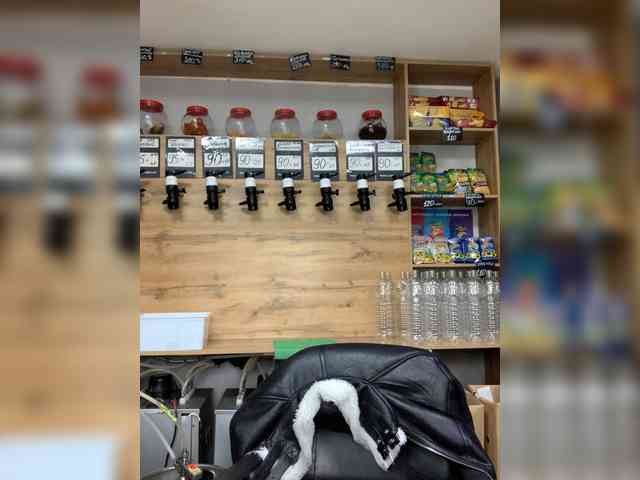 Tvoya-Bipka Tvoya-Bipka