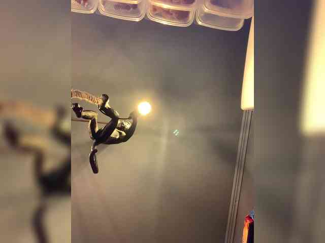 Tvoya-Bipka Tvoya-Bipka