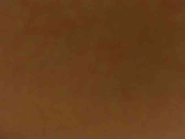 SharlotRodriguez webcam