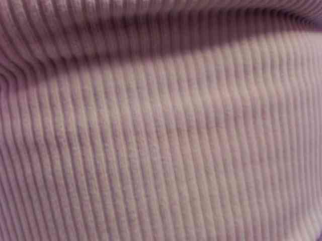 SharlotRodriguez webcam