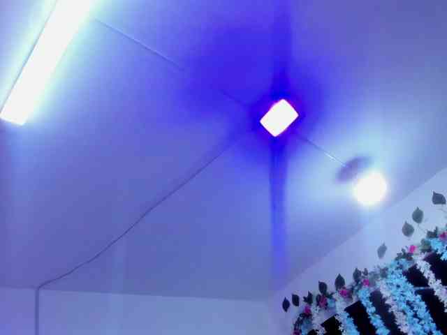 SharlotRodriguez webcam