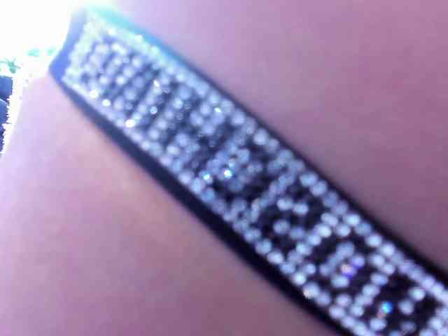 SharlotRodriguez webcam