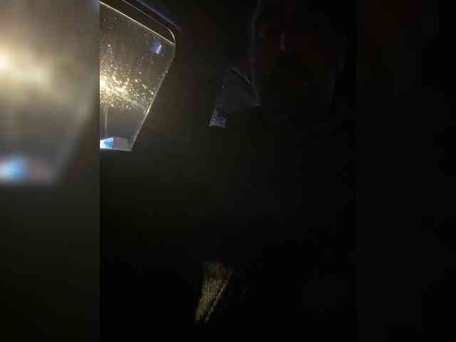 sweetfox311 sweetfox311