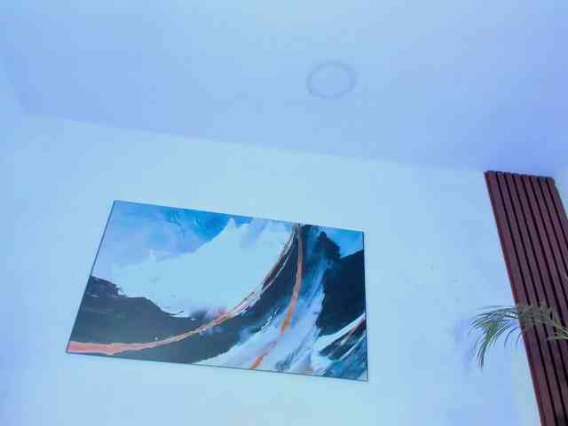 Renata-Saenz webcam