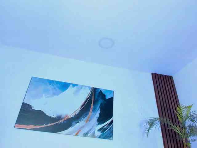 Renata-Saenz webcam