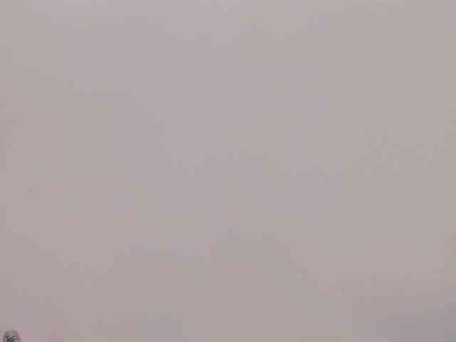 LaBianca webcam