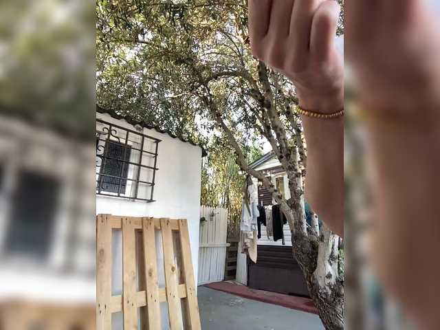 miss-milka's BongaCams show and profile